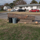 Illustration for article titled The pine is gone. Now I wont feel bad about buying a truck and parking it in the driveway.